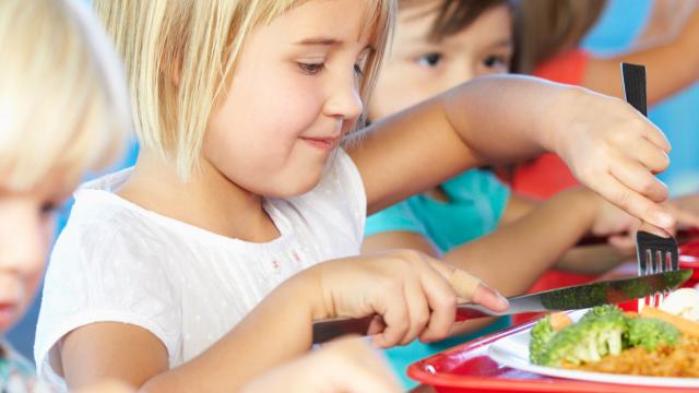 Aide de l’Etat à la mise en place d’une tarification sociale des cantines scolaires