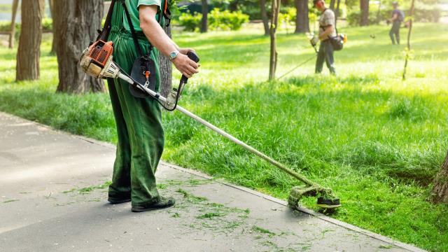 Insertion par l'activité économique (IAE)