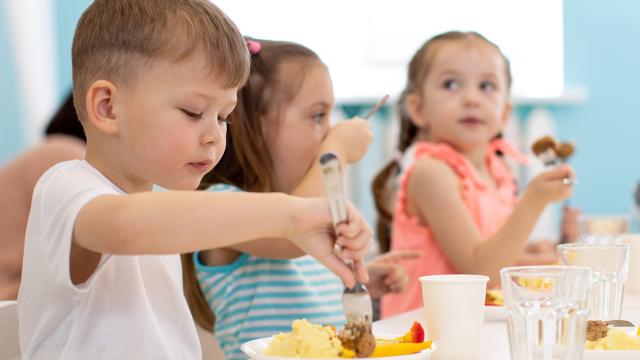 Soutien de certaines cantines scolaires